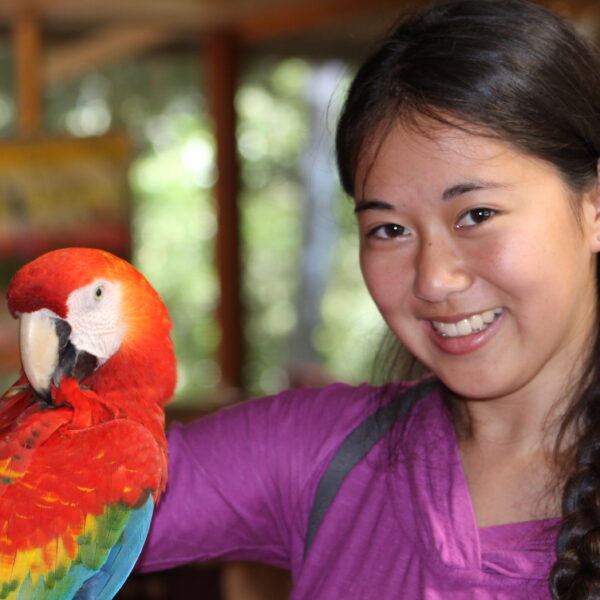 Jungle Conservation Program
