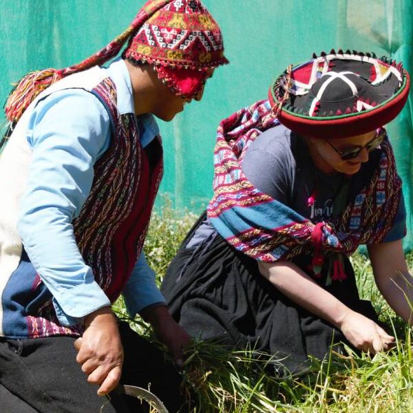 Cultural Immersion Retreat