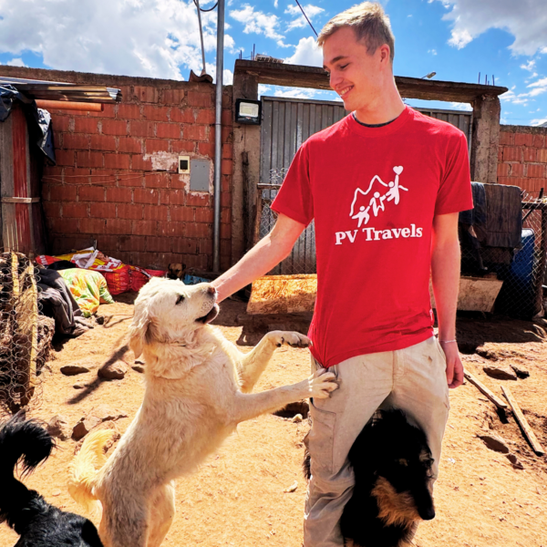 Animal Protection -Dogs Shelter