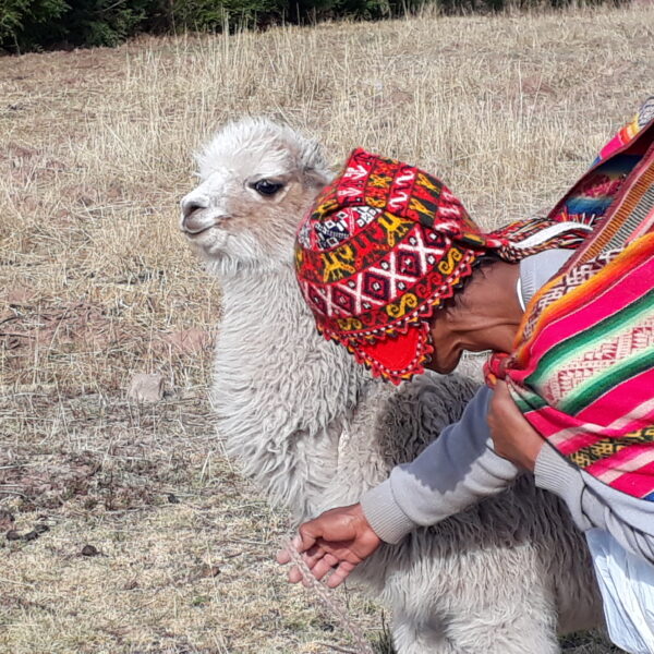 Programs Sacred Valley