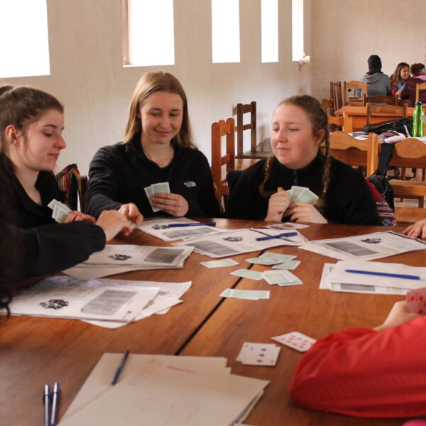 Group Course / 20hours a week